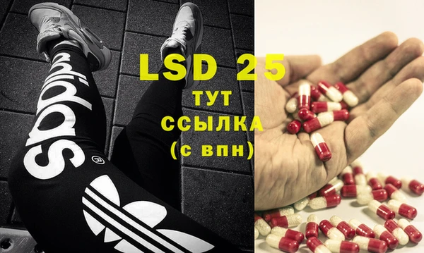 PSILOCYBIN Абинск