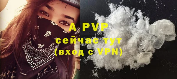 шишки Киренск