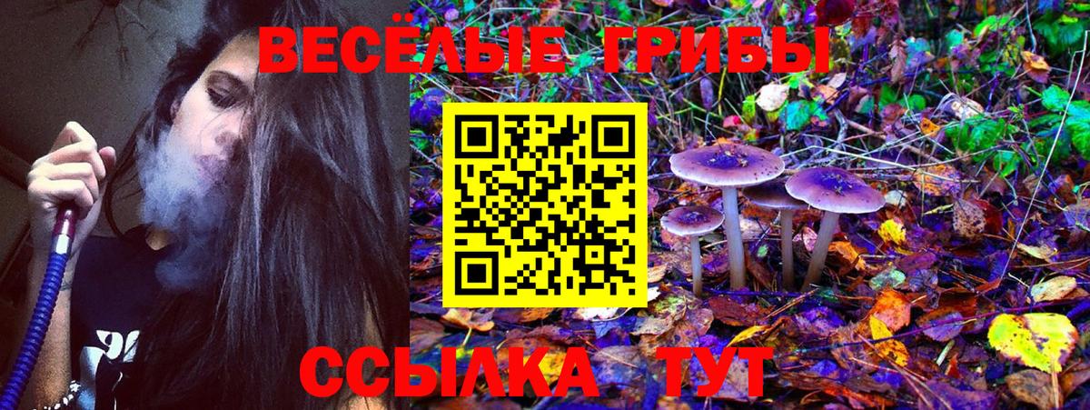 Галлюциногенные грибы Cubensis Сунжа
