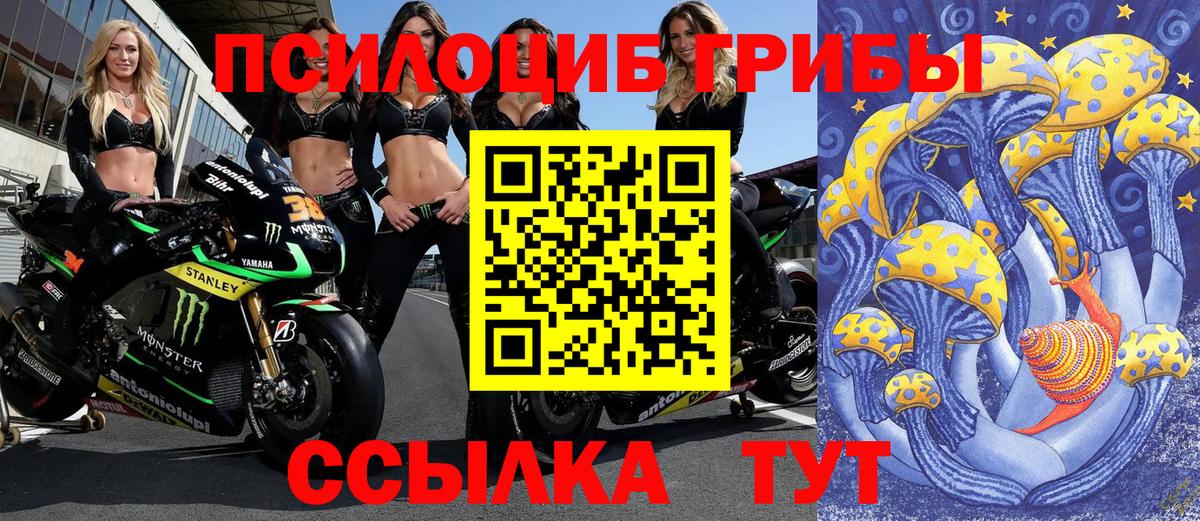 Сунжа  купить наркоту  Вход с VPN  Псилоцибиновые грибы Magic Shrooms 